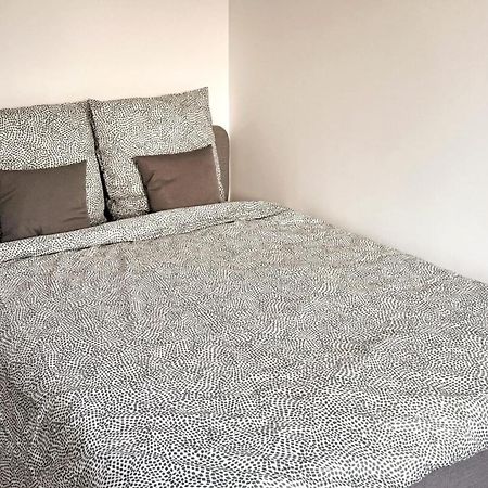 Nancy Centre Gare Appartement Renove 3 Chambres Екстер'єр фото